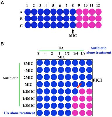 Evaluation of the mechanistic basis for the antibacterial activity of ursolic acid against Staphylococcus aureus